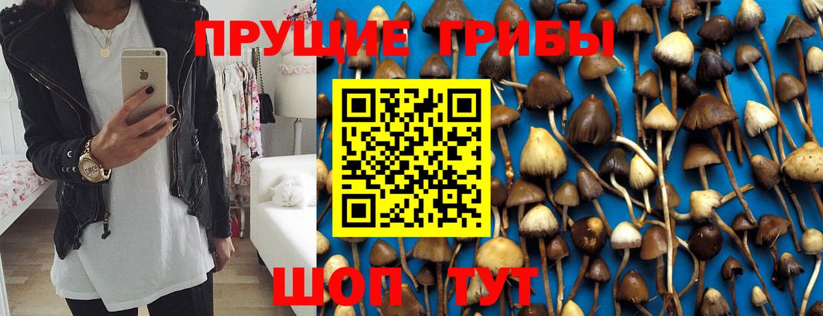 Великие Луки  Галлюциногенные грибы Magic Shrooms  Вход с VPN 